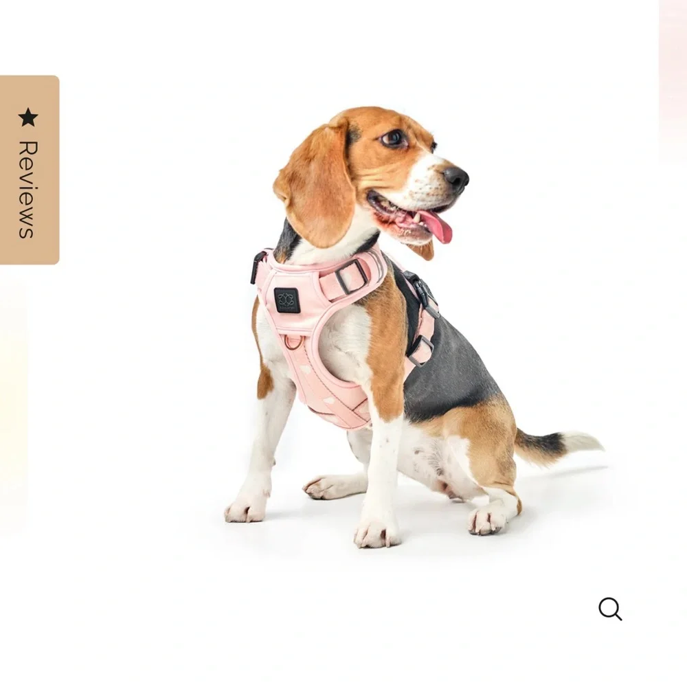 NEW Dogistry The NoMad Adjustable Luxe Harness - Sweetheart Sz Medium